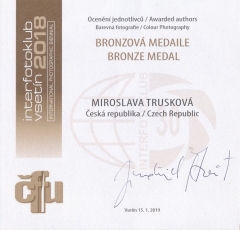 awards_bronze_medal_