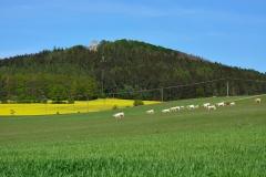 Obec-Choustník-48