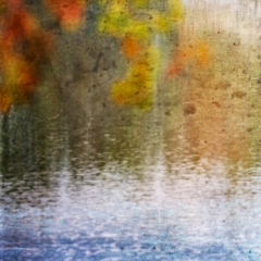 Fall 2