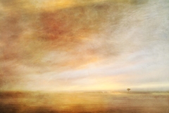 Golden landscape