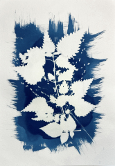 Kurz-kyanotypie-Mirka-Trusková-Tábor-10-of-21