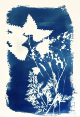 Kurz-kyanotypie-Mirka-Trusková-Tábor-13-of-21