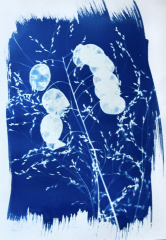 Kurz-kyanotypie-Mirka-Trusková-Tábor-16-of-21