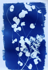 Kurz-kyanotypie-Mirka-Trusková-Tábor-18-of-21