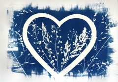 Kurz-kyanotypie-Mirka-Trusková-Tábor-20-of-21