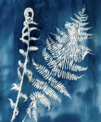 Kurz-kyanotypie-Mirka-Trusková-Tábor-3-of-21