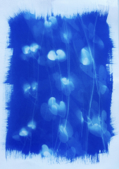 Kurz-kyanotypie-Mirka-Trusková-Tábor-6-of-21