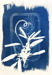 Kurz-kyanotypie-Mirka-Trusková-Tábor-7-of-21